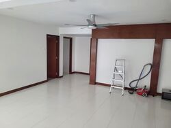 Pandan Valley (D21), Condominium #570981161